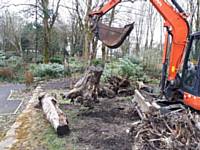 Moving the stumps is no easy task. Some stumps weigh close to a ton